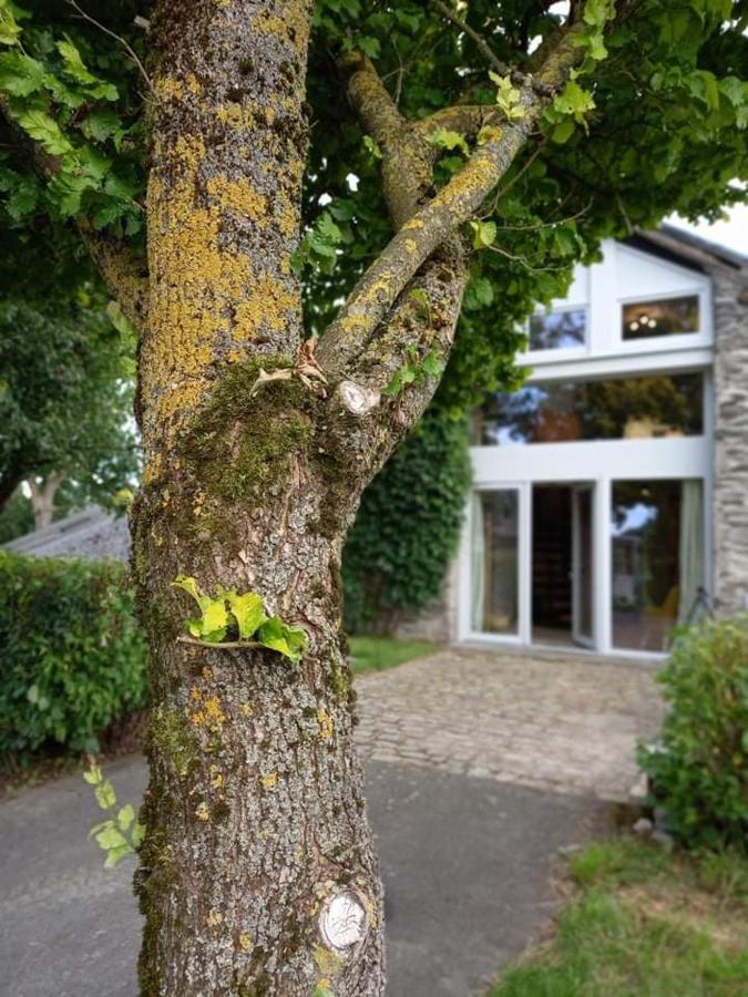 Li Gurni Houffalize Exterior foto